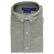 Roscoe Button Down - Basil