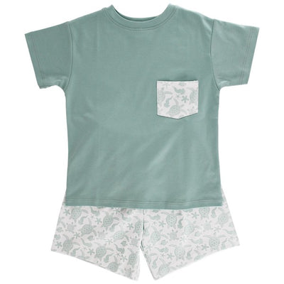 Turtle Print - Boys Knit Short Set