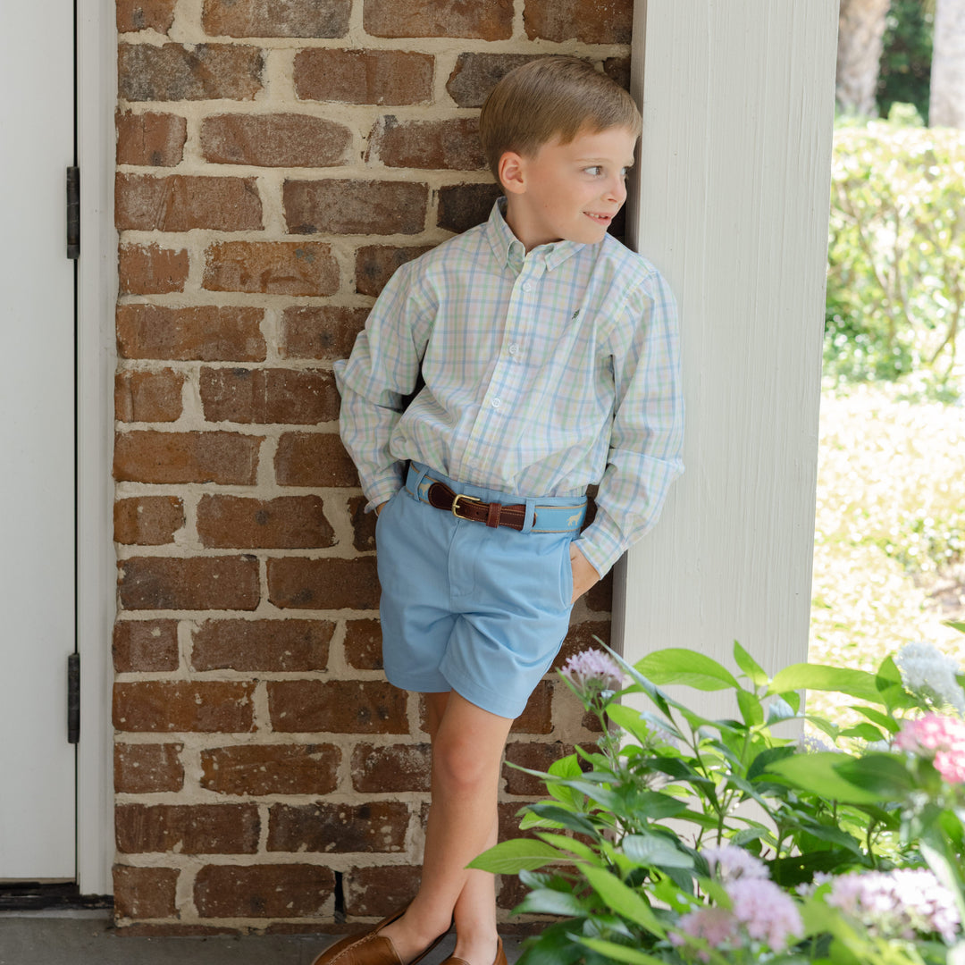 Buddy Belt - Golden Dog on Light Blue – Bailey Boys