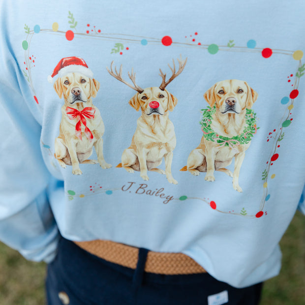 Boys Long Sleeve Logo Tee - Christmas Labs on Light Blue